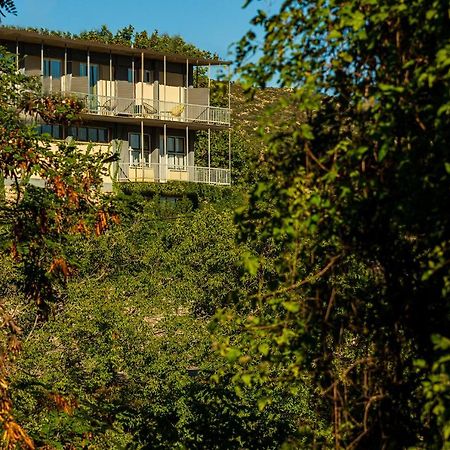 Theoxenia Hotel Andrítsaina Eksteriør bilde